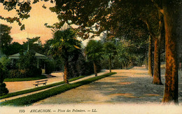 33 * Arcachon - Arcachon