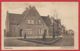 NL.- WINTERSWIJK. PLATAANWEG. Uitgave G.J. Albrecht. - Winterswijk