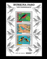 BURKINA FASO STAMP - 1995 Birds MINISHEET MNH (STB10-265) - Burkina Faso (1984-...)