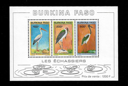 BURKINA FASO STAMP - 1993 Birds MINISHEET MNH (STB10-266) - Burkina Faso (1984-...)