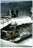 Carte Postale 88.  Senones-en-Salm   Roche Mère Henry Sous La Neige   Trés Beau Plan - Senones