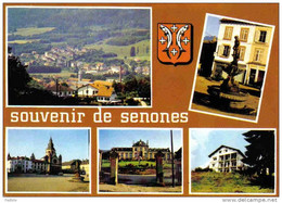 Carte Postale 88.  Senones-en-Salm Trés Beau Plan - Senones