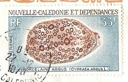 NOUVELLE-CALÉDONIE Airmailcover Sent 1970 With Yvert A 114 Shell / Coquille /schelp - Covers & Documents