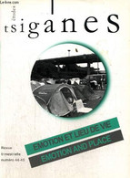 Etudes Tsiganes, N°44-45 - Emition Et Lieu De Vie Chez Les Roms / Emotion And Place : Attachement Aux Lieux, à L'espace - Outre-Mer