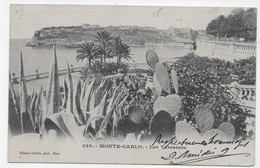 (RECTO / VERSO) MONTE CARLO EN 1903 - N° 529 - LES TERRASSES - BEAU TIMBRE ET CACHET DE MONACO - CPA PRECURSEUR - Terrassen