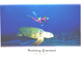 Australia:Queensland, Bundaberg, Turtle With Diver - Tortues