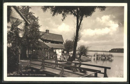 AK Lychen, An Der Strandpromenade - Lychen