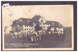 SCHWAND MÜNSINGEN - KANT. LANDWIRTSCHAFTS UND HAUSHALTUNGSSCHULE - VACHES - TB - Münsingen