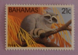 BAHAMAS YT 516 NEUF**MNH "RATON LAVEUR" ANNÉE 1982 - Bahamas (1973-...)