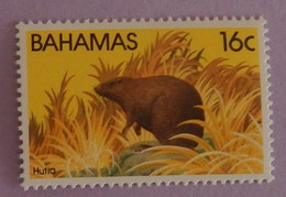 BAHAMAS YT 515 NEUF**MNH "RAT" ANNÉE 1982 - Bahamas (1973-...)