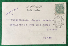 Levant N°13 Sur CPA, TAD SMYRNE, Turquie D'Asie 25.4.1905 Pour Bizerte, Tunisie - (B359) - Briefe U. Dokumente