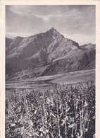 Piz Beverin (Mischol), Heimat, Gelaufen 1929 - Bever