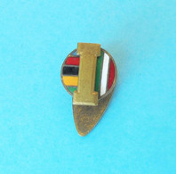 PALLACANESTRO VARESE - IGNIS ... Italy Basketball Club Old Enamel Buttonhole Pin Badge Basket-ball Baloncesto Italia - Basketball