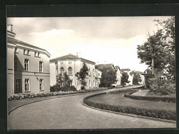 AK Heiligendamm, Strassenpartie Mit Blick Auf Das Sanatorium - Heiligendamm