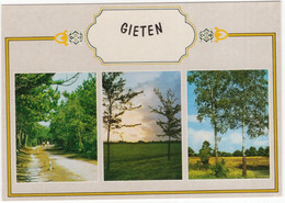 Gieten - Bos, Heide, Berkenbomen Etc.  - (Drenthe, Holland) - Gieten