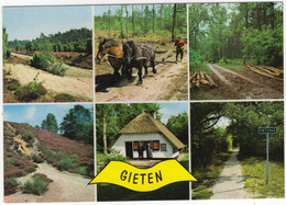 Gieten - Bos, Heide, Paarden, Boerderij, 'Fietspad' Etc.  - (Drenthe, Holland) - Gieten