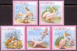 ALBANIA 1967, FAUNA, BIRDS, PELICANS, COMPLETE, MNH SERIES With GOOD QUALITY, *** - Pélicans