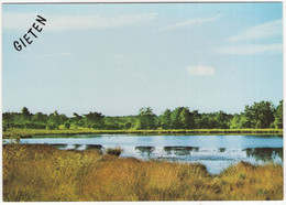 Gieten - Bosvennetje - (Drenthe, Holland) - Gieten