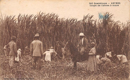 ¤¤   -   GUADELOUPE   - ABYMES   -  Coupe De Cannes à Sucre      -   ¤¤ - Sonstige & Ohne Zuordnung