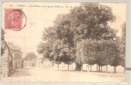 60 - Cuts (oise) - La Place Et Le Gros Tilleul - Autres Communes