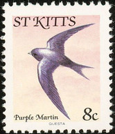 St Kitts. 1981   Hirondelle à Ventre Blanc     Caribbean Martin - Schwalben