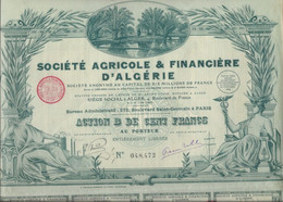 SOCIETE AGRICOLE ET FINANCIERE D'ALGERIE -ACTION ILLUSTREE DE CENT FRANCS - ANNEE 1928 - Agricultura