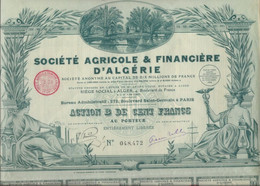 SOCIETE AGRICOLE ET FINANCIERE D'ALGERIE -ACTION ILLUSTREE DE CENT FRANCS - ANNEE 1928 - Agriculture