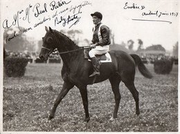 1V5 Ve   Grande Photo Hippisme Courses Hippiques Sauteur à Auteuil Cheval Evohée II Jockey Baly Bate 1937 Dédicace - Paardensport