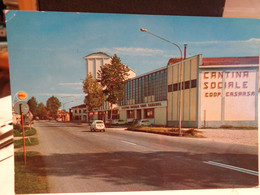 Cartolina Casarsa Prov Pordenone Cantina Sociale 1975, Distributore Shell - Pordenone