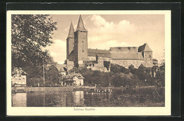 AK Rochlitz, Blick Zum Schloss - Rochlitz