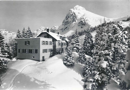 Mollis - Naturfreundehaus Fronalp           Ca. 1970 - Mollis