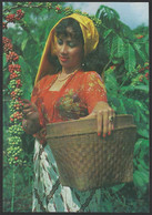 INDONESIA - Woman - Coffee - Postcard (see Sales Conditions) 04417 - Indonesië