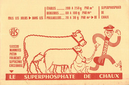 BUVARD SUPERPHOSPHATE DE CHAUX - Agriculture