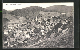 AK Wildemann Im Harz, Blick Auf Den Gesamten Ort Im Tal - Wildemann