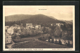 AK Bad Gr.-Tabarz Im Thür. Wald, Blick Von Pension Bischoff - Tabarz