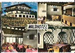 "WALDHOTEL" Dreihütten-Lommersweiler (Belg) Ed. Lander, Cpsm GF - Saint-Vith - Sankt Vith