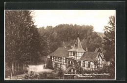 AK Stadtroda In Thür., An Der Weihertalmühle - Stadtroda