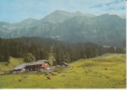 Switzerland,  Suisse, Schweiz, Svizerra - Eigenthal Unused - Thal