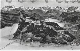 BÜRGENSTOCK → Panoramakarte, Fotokarte Ca.1950 - Andere & Zonder Classificatie