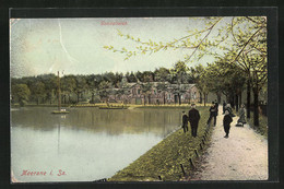 AK Meerane I. Sa., Spaziergänger Am Gondelteich - Meerane