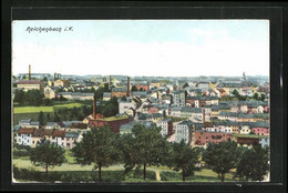 AK Reichenbach I. V., Panoramablick Auf Die Stadt - Reichenbach I. Vogtl.