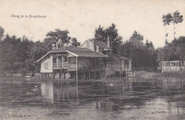 EGRISELLES LE BOCAGE - YONNE  - (89) - CPA - ETANG DE LA BROUILLERAIE. - Egriselles Le Bocage