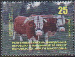 NORTH MACEDONIA, 2021, MNH,CATTLE, BULLS, 1v - Vacas