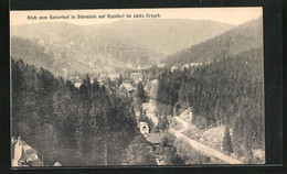 AK Bärenfels, Blick Vom Kaiserhof Nach Kipsdorf - Kipsdorf