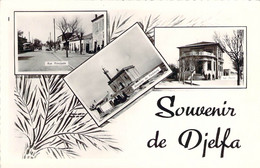 ALGERIE Carte Multivues Souvenir De DJELFA Poste Mosquée Rue Principale - Djelfa