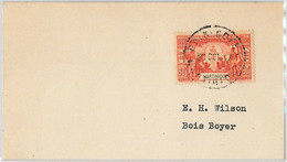 45068  -  MARTINIQUE -  POSTAL HISTORY: COVER 1937 - Lettres & Documents