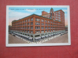 Sibley 'Lindsay & Curr Co. Department Store Rochester   New York        Ref 5055 - Rochester