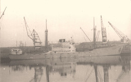 Delcampe - MOGADOR * Carte Photo * Bateau Cargo Paquebot Commerce Marine Marchande ? Compagnie Générale Armement Maritime CGAM - Handel