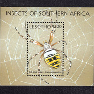 Lesotho 2002  Fauna  Insect , Orb Web  Spider - Lesotho (1966-...)
