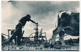 CPSM - LES COMPAGNONS DE FRANCE AUX CHAMPS - Sillon Après Sillon, Achève Ta Tâche - Boerderijen